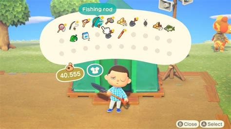 animal crossing inventory increase.